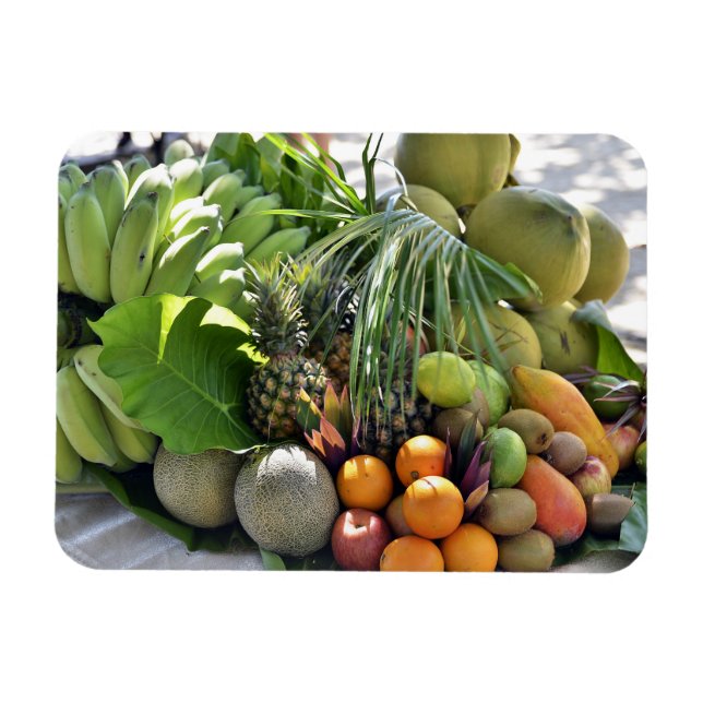 Ímã Cocos, Laranjas, Limões, Bananas, Papaias (Horizontal)