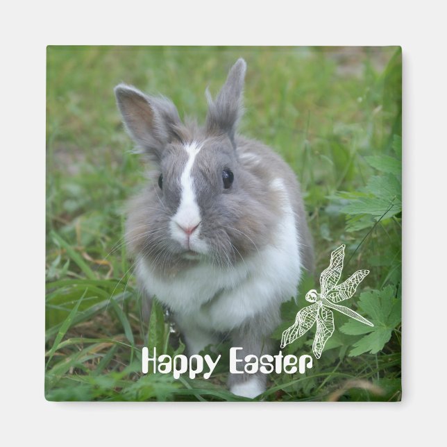 Imã Coelhinho (Frente)