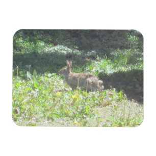 Ímã Coelhinho Flexível Selvagem