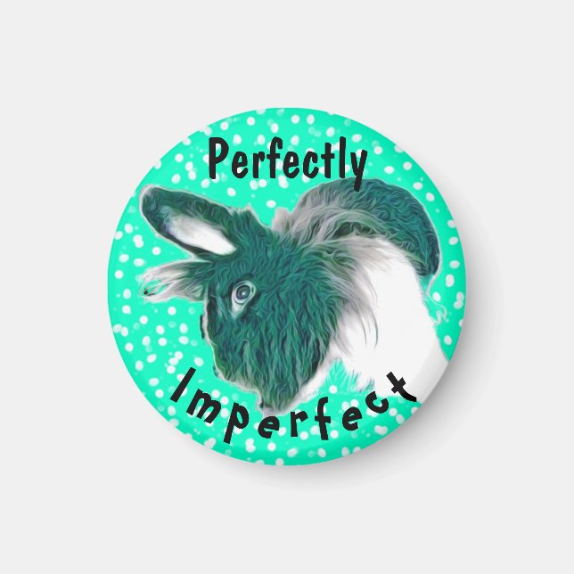 Imã Coelhinho inspirador do Magnet Fun (Frente)