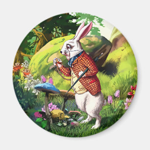 Imã Coelho branco Alice em ímãs da páscoa do país