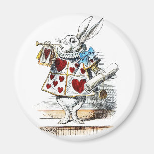 Imã Coelho Branco Alice Mundo das Maravilhas Coelho de