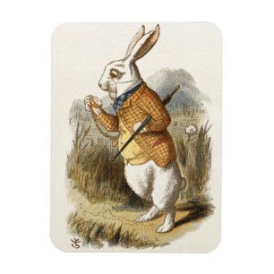 Ímã Coelho Branco de Alice no País das Maravilhas da A