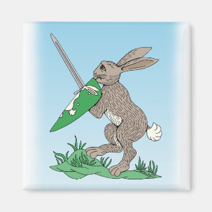 Imã Coelho Guerreiro Medieval