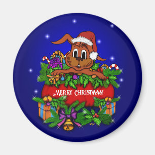 Imã Coelho Natal