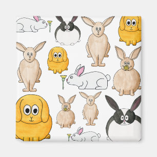 Imã Coelhos
