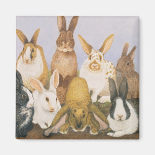 Imã Coelhos afortunados
