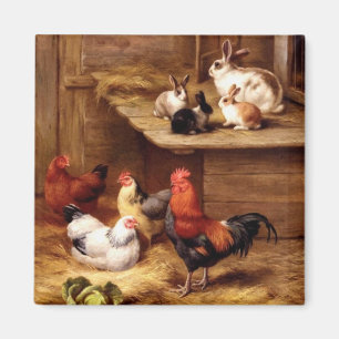 Imã Coelhos dos animais de fazenda das galinhas do
