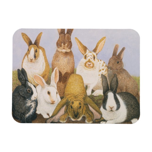 Ímã Coelhos sortudos (Horizontal)