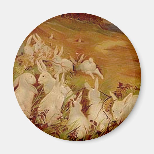 Imã Coelhos Vintage (Frente)