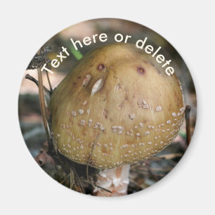 Imã Cogumelo Florestal Natureza Personalizado