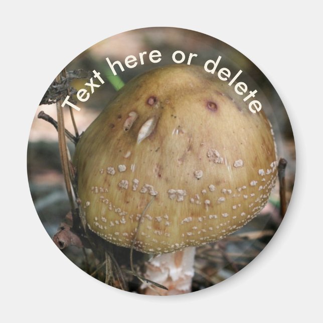 Imã Cogumelo Florestal Natureza Personalizado (Frente)