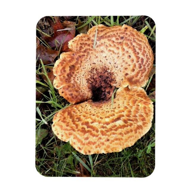 Ímã Cogumelo na Floresta (Vertical)
