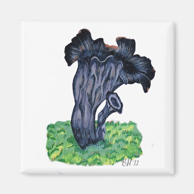Imã Cogumelo Trombeta Preto Desenhado à Mão (Frente)