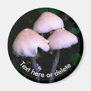 Imã Cogumelos da Meia-Noite Natureza Personalizada
