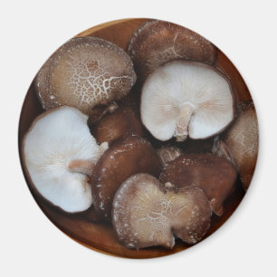Imã Cogumelos de Shitake