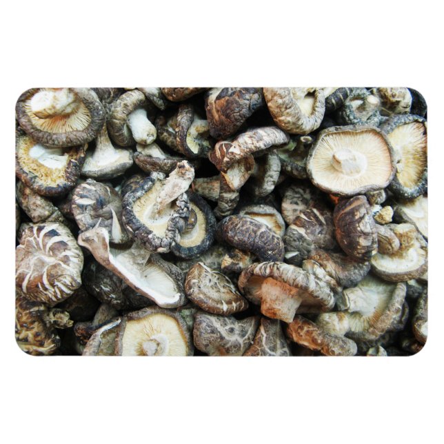 Ímã Cogumelos Shiitake (Horizontal)