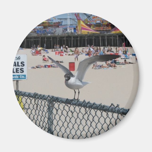 Imã Coisa da margem (Frente)