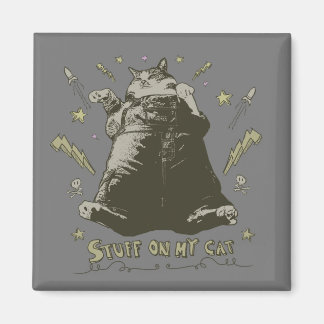 Imã Coisas no meu gato - Gato Gordo