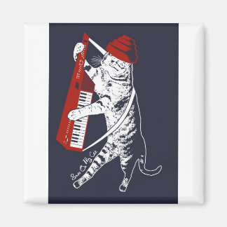 Imã coisas no meu gato - keytar