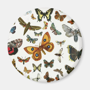 Imã Colagem de Borboletas e Mães mais conhecidas na Eu