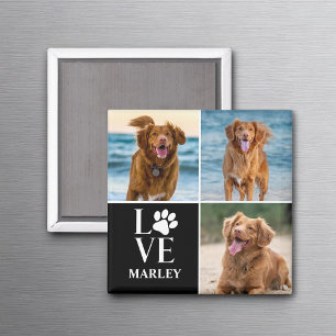 Imã Colagem de Fotos Personalizadas de Amor Cachorro N