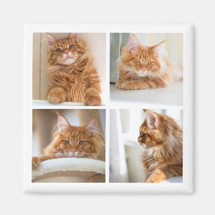 Imã Colagem de Grade Simples 4 Quatro Fotos