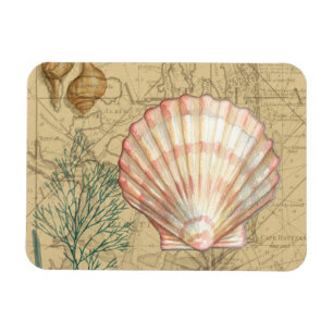 Ímã Colagem de Mapa Costeiro