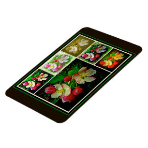 Ímã Colagem do Flor da Maçã - Foto Digital Avançada