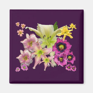 Imã Colagem do hemerocallis