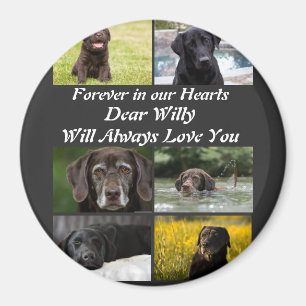 Imã Colagem Fotográfica Pet Memorial 6, moderna e pers