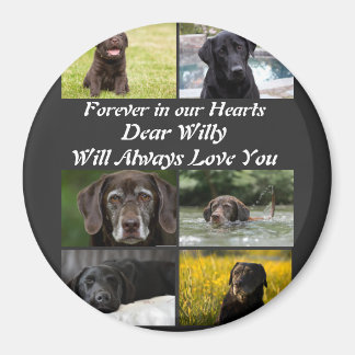 Imã Colagem Fotográfica Pet Memorial 6, moderna e pers