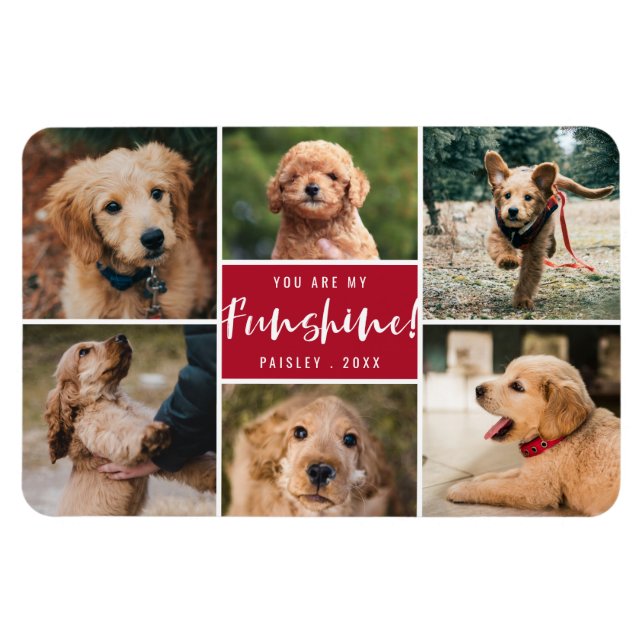 Ímã Colagem Fotográfica Você É Meu Funshine | Red Pet (Horizontal)