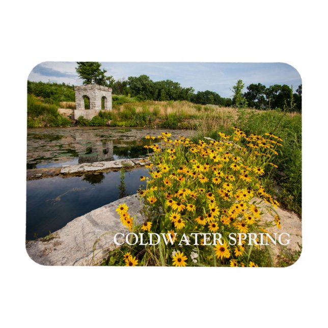 Ímã Coldwater Primavera Park, Pond, Springhouse (Horizontal)