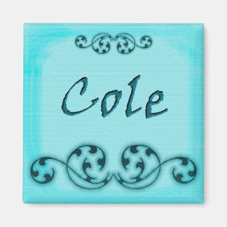 Imã Cole Magnet Ornamental