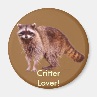 Imã Coleção de BEBÊS RACCOON