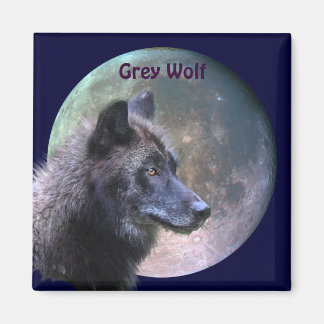 Imã Coleção de cinzas Wolf & Full Moon Willife