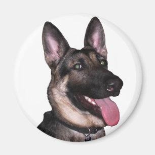 Imã Coleção de german shepherd