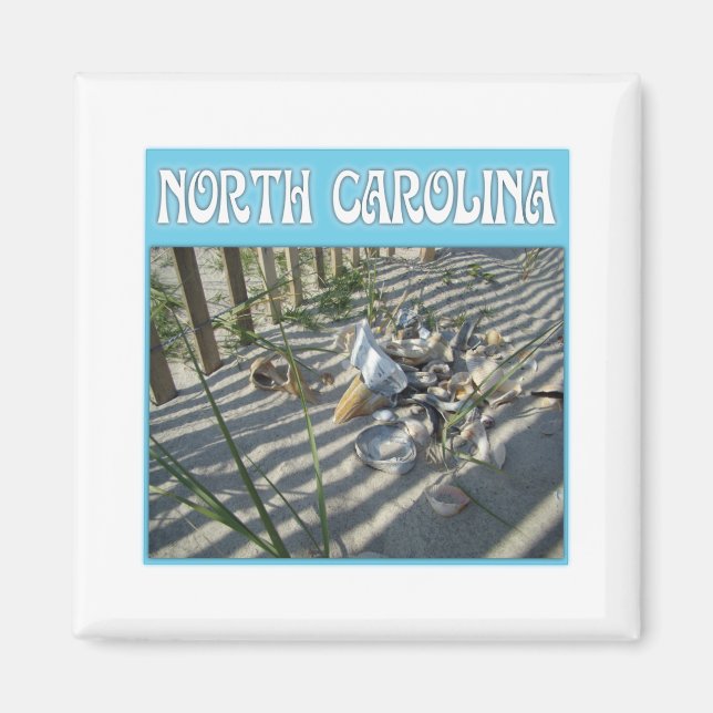 Imã Coleção de Seashell de Praia de Emerald Isle (Frente)