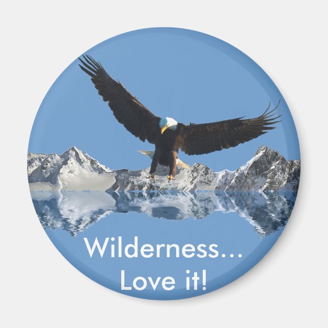 Imã Coleção de VOO do EAGLE (Frente)