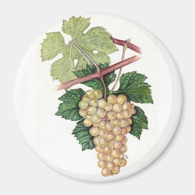 Imã Coleção Dionysus & Rhea (Frente)