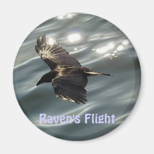 Imã Coleção MÁGICA MAGNÉTICA