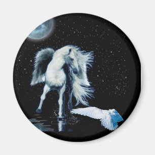 Imã Coleção PEGASUS & WHITE RAVEN