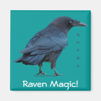 Imã Coleção Raven Preta III