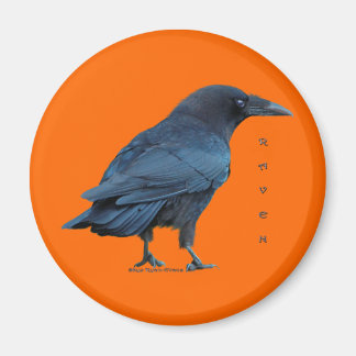 Imã Coleção Raven Preta III