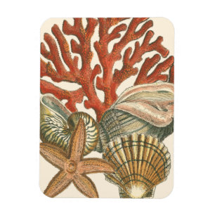 Ímã Coleção Sealife