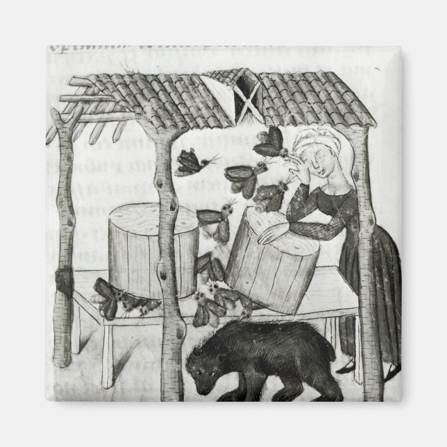 Imã Coletar Mel (Frente)