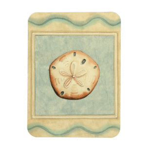 Ímã Coletor de Shell