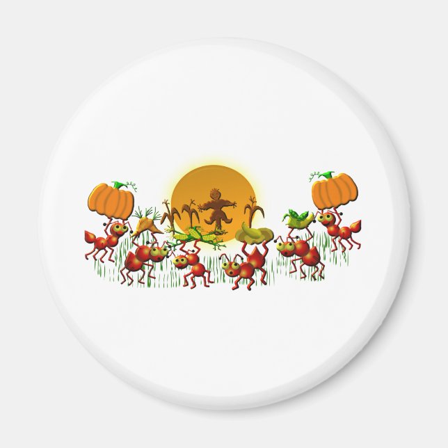 Imã coletores (Frente)