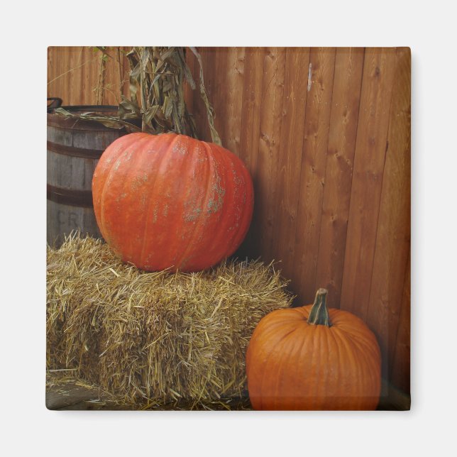 Imã Colheita (Frente)